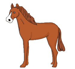 Pferd