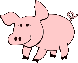 Schwein