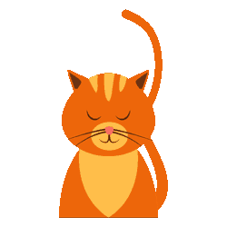 Katze