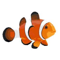 Fisch